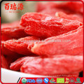 Bio Goji Beeren 16 Unzen Goji Beeren 16 Unzen Navitas Goji Beeren 16 Unzen